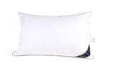 Littens Extra Filled Luxury Ultimate Collection 100% Pure Hungarian Goose Down Pillow 300TC 100% Cotton Jacquard Casing, Down Proof, Gold Piping