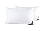 Littens Luxury Ultimate Collection 100% Pure Hungarian Goose Down Pillows Pair 300TC 100% Cotton Jacquard Casing, Down Proof, Gold Piping