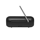 JBL Tuner 2 Portable Radio, Bluetooth Speaker with DAB and FM Radio, 12 Hours of Wireless Music, Black