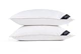 Littens Luxury Ultimate Collection 100% Pure Hungarian Goose Down Pillows Pair 300TC 100% Cotton Jacquard Casing, Down Proof, Gold Piping