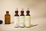 Bach Original Flower Remedies (Walnut) Stand Your Ground, Accept Change, Emotional Wellness, Natural Flower Essence, 20ml
