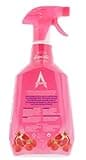 Astonish Special Aromatic Edition Multi-Purpose Anti-Bacterial Surface Cleanser Spray, Pomegranate and Raspberry Scent, 12 X 750ml