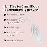 Itch | Flea & Tick Spot-On Treatment for Small dogs (2-10kg) | Kills Fleas, Ticks, Lice & Eggs to Prevent Reinfestation | 3 Easy-Apply Pipettes
