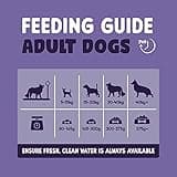 Burgess Sensitive Dry Senior Dog Food 7+ Rich in Turkey, 12.5 kg