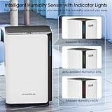 Hangsun 20L/Day Dehumidifiers for Home Dehumidifier for Drying Clothes and Damp with Digital Humidity Display, Continuous Drainage, 24 Hour Timer, Ideal for Laundry Room, Basement, Bedroom, Bathroom