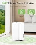 Dehumidifier, 12L/Day Dehumidifiers for Home Drying Clothes Against Damp/Condensation, Quiet Dehumidifier for Bedroom/Basement with Humidity Control, Drainage Hose, Auto Defrosting, Energy Saving