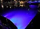 hogar y la cocina Bluefin LED Piranha P6 Nitro Blu 12 V 3000 Lm (1000010149)