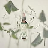 Bach Original Flower Remedies (Walnut) Stand Your Ground, Accept Change, Emotional Wellness, Natural Flower Essence, 20ml