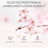 Sakura Skin Care Set For Teen Girls, Japan Sakura Stocking Fillers Women Gift Set, Skin Care Sets & Kits Daily Care All In One Set For Teenage Girls Gifts, Face Care Set For Women & Girls 30PCS
