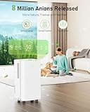 Dehumidifier, 12L/Day Dehumidifiers for Home Drying Clothes Against Damp/Condensation, Quiet Dehumidifier for Bedroom/Basement with Humidity Control, Drainage Hose, Auto Defrosting, Energy Saving