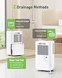 Dehumidifier, 12L/Day Dehumidifiers for Home Drying Clothes Against Damp/Condensation, Quiet Dehumidifier for Bedroom/Basement with Humidity Control, Drainage Hose, Auto Defrosting, Energy Saving