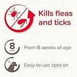 Beaphar | FIPROtec Spot-On for Large Dogs (20–40kg) | Kills Fleas & Ticks | Vet Strength Treatment | 6 Pipettes