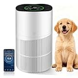 Air Purifiers for Large Home Bedroom, CADR 403m³/h, Alexa Enabled, Filter with PM2.5 Intelligent Air Quality Sensor, Auto Mode, Targets Pollen, Dust, Smoke, Pet Allergens