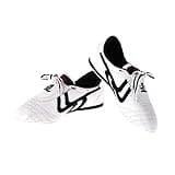 Taekwondo Shoes, Comfortable Non-Slip Karate Shoes Breathable Martial Arts Sneakers for Adults (Size : 42) Taekwondo Sport Equipment