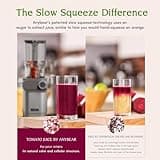 Anybear Cold Press Juicer, 200W Masticating Slow Juicer 4.3" Large Feed Chute Fit Whole Fruits Vegetables | Upgraded Auger | Tritan Materials | BPA Free | Juice Recipes (Silver)
