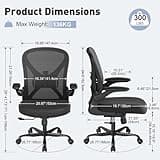 ZZH Ergonomic Mesh Office Chair with Adjustable Lumbar Support ＆ Flip-up Arms, Breathable Computer Home Desk Chair with 360 & Height Adjustment, Black