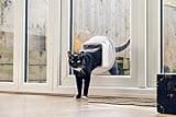Sure Petcare SureFlap Microchip Cat Flap Connect, DualScan Technology, Mobile App Compatible, Install in Doors, Windows and Walls, White, Hub and 4 x AA Batteries Required, Not Included