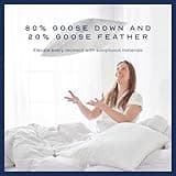 Snuggledown Hungarian Goose Down Pillow 1 Pack - Ethically Sourced UK-Made 80% Goose Down Luxury Pillows - 300tc Cotton Cover, Ultra-Soft, Breathable & Hypoallergenic for Luxury Comfort (48 x 74cm)