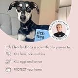 Itch | Flea & Tick Spot-On Treatment for Small dogs (2-10kg) | Kills Fleas, Ticks, Lice & Eggs to Prevent Reinfestation | 3 Easy-Apply Pipettes