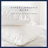 Snuggledown Hungarian Goose Down Pillow 1 Pack - Ethically Sourced UK-Made 80% Goose Down Luxury Pillows - 300tc Cotton Cover, Ultra-Soft, Breathable & Hypoallergenic for Luxury Comfort (48 x 74cm)