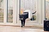 Sure Petcare SureFlap Microchip Cat Flap Connect with Sure Petcare Hub, DualScan Technology, RFID Collar Tags and Microchip Compatible, Mobile App Control, 4 x AA Batteries Required, Not Included