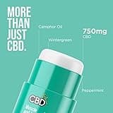 CBDfx 750mg CBD High Strength Muscle & Joint Balm Stick with Menthol, Wintergreen and Black Pepper Oil (60ml Hemp Balm Roll)