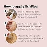 Itch | Flea & Tick Spot-On Treatment for Small dogs (2-10kg) | Kills Fleas, Ticks, Lice & Eggs to Prevent Reinfestation | 3 Easy-Apply Pipettes