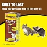 The Big Cheese Live Animal Trap - Spring Loaded Cage Door - Small Humane Pest Trap for Rats, Squirrels and Small Animals - Relocate Life Wildlife with Catch and Release No-Kill Cage