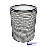 PUREBURG BP03 Replacement Filter Set Compatible with Dyson BP03/BP04/BP06 Purifier Big+Quiet Formaldehyde Extra Large, 972132-01 & 972133-03
