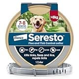 Seresto Flea and Tick Control Collar for Large Dogs > 8 kg - NEW Sustainable Pack