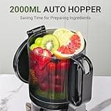 AMZCHEF Automatic Cold Press Juicer Machines 250W Free Your Hands -135MM Opening and 1.8L Capacity Slow Juicers for Whole Fruit and Vegetable, with Triple Filter, Safety Lock, Classic Grey