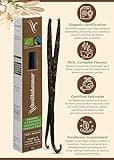 Vanillabazaar Sustainable, Organic & Fairtrade Madagascan Grade A Beans - 5 Bourbon Premium Vanilla Pods in Resealable Tube for Chefs & Home Baking/Cooking