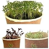 MiniEco Microgreens Growing Kit for Garden Cress Watercress Leafy Radish Seeds Sprouting. Your Healthy Life Can Start Now!