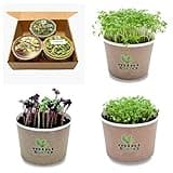 MiniEco Microgreens Growing Kit for Garden Cress Watercress Leafy Radish Seeds Sprouting. Your Healthy Life Can Start Now!