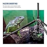 NEEWER Upgraded 80.7" Carbon Fiber Camera Tripod Monopod with Telescopic 2 Section Center Axes, 360° Panorama Ballhead, 1/4" Arca Type QR Plate, Travel Tripod with ø28mm Column, Max Load 26.5lb, N55CR
