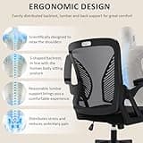 Durrafy Ergonomic Office Chair,High Back Desk Chair with Adjustable Armrest and Lumbar Support,Height Adjustable,Breathable Mesh Backrest for Comfort,Swivel Computer Task Chair for Home/Office, Black