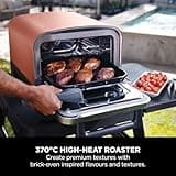 Ninja Woodfire Electric Outdoor Oven, 8-in-1 Pizza Oven, High-Heat Roaster & BBQ Smoker with Roast Rack, Pro-Heat Tray, Pizza Stone,Wood Pellets & Scoop, Electric,6 Pizza Settings,Burnt Orange OO101UK