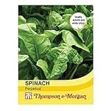 Thompson & Morgan - Vegetable - Spinach Perpetual - 250 Seeds