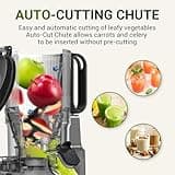 AMZCHEF Automatic Cold Press Juicer Machines 250W Free Your Hands -135MM Opening and 1.8L Capacity Slow Juicers for Whole Fruit and Vegetable, with Triple Filter, Safety Lock, Classic Grey