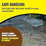 The Big Cheese Live Animal Trap - Spring Loaded Cage Door - Small Humane Pest Trap for Rats, Squirrels and Small Animals - Relocate Life Wildlife with Catch and Release No-Kill Cage