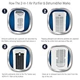 Spear & Jackson 38065 Air Purifier with HEPA & Carbon Filters, Air Cleaner for Allergies, Pollen, Pets, Dust, Smokers; Ionizer & Timer Function