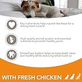 IAMS Complete Dry Dog Food for Senior 8+ Small and Medium Breeds with Chicken 12 kg