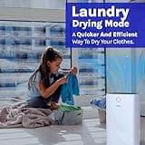 Devola 12L/day Low Energy Dehumidifier | Quiet & Energy Efficient (costs less than 5p per hour) Dehumidifiers for Home | Laundry Drying Dehumidifier | Dust Filter | Continuous drainage