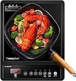 AMZCHEF Single Induction Hob, Portable Induction Hob, 10 Temperature Settings and Power levels from 300W to 2000W, Black Frosted Glass Panel,Sensitive Press Control, 3-hour Timer