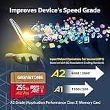 GIGASTONE [5-Yrs Free Data Recovery 256GB Micro SD Card, 4K Camera Pro, A2 V30 for Smartphone, Gopro, Action Cams, 4K UHD Video, Nintendo-Switch Compatible, Up to 100MB/s, UHS-I U3 C10 with Adapter