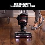 Shark Corded Upright Vacuum Cleaner 1.1L with Lift-Away Technology, Pet Model, LED Headlights, Anti-Allergen, 8m Cord, 750W, Pet, Crevice & Multi-Surface Tools, Red/Black, NV602UKT