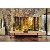 Samsung 65 Inch QN900B Neo QLED 8K Smart TV (2022) - True 8K Picture With Quantum Matrix Technology & Anti Reflection Infinity Screen, Alexa Built In, Ultrawide Gameview, Dolby Atmos Surround Sound