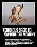 Canon Mirrorless Cameras EOS R7 + RF-S 18-150mm - w/o Mount Adapter GB - 32.5 MP APS-C CMOS Image Sensor - Dual Pixel CMOS AF II - In-Camera Compositing - LCD Touchscreen - UVC/UAC Compatible