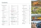 Moon Scotland (Second Edition): Highland Road Trips, Outdoor Adventures, Pubs & Castles (Moon Europe Travel Guide)
