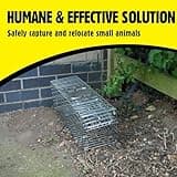 The Big Cheese Live Animal Trap - Spring Loaded Cage Door - Small Humane Pest Trap for Rats, Squirrels and Small Animals - Relocate Life Wildlife with Catch and Release No-Kill Cage